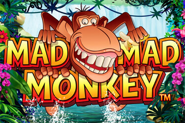 Mad Mad Monkey HQ