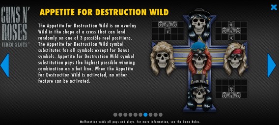 Guns N' Roses Apetit for Destruction Wild