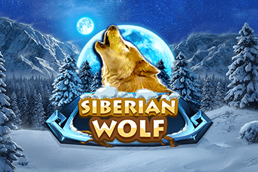 Siberian Wolf