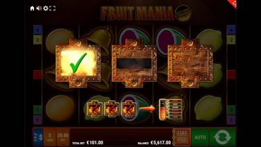 Fruit Mania (6)