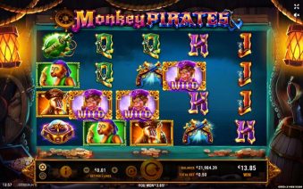 monkey pirates (6)