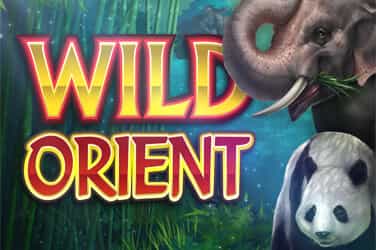 Wild Orient