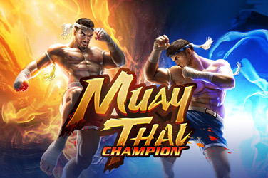 Muay Thai Champion