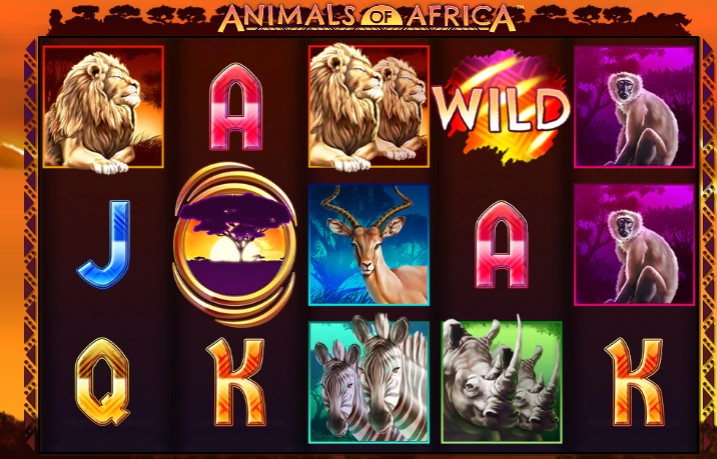 Animals of Africa Theme and Design