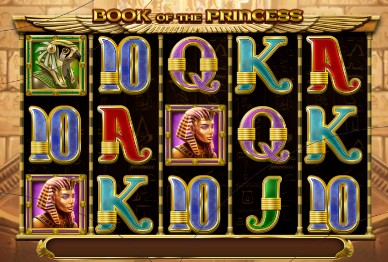 Book of the Princess tHEME AND dESIGN