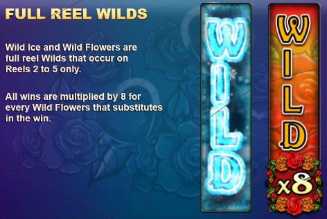 Wild Flower FULL REAL WILDS