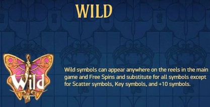 Codex of Fortune WILD