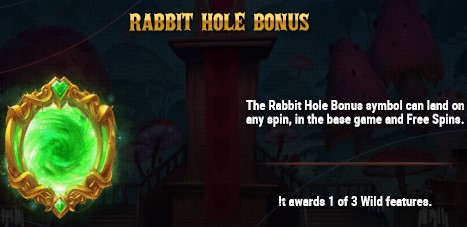 Court of Hearts RABBIT HOLE BONUS