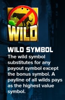 Nitropolis 2 wild symbol