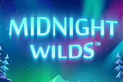 Midnight Wilds