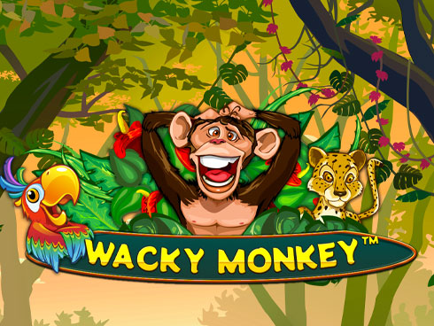 Wacky Monkey