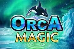 Orca Magic