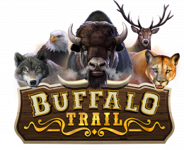 Buffalo Trail