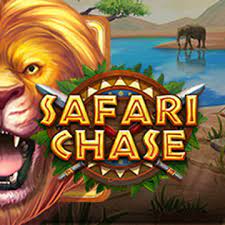 Safari Chase