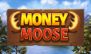 Money Moose