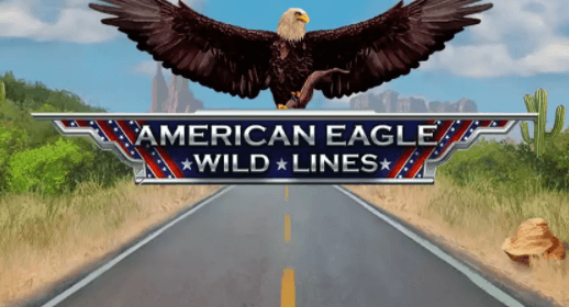 Wild Lines American Eagle