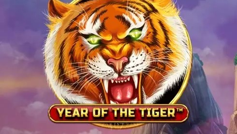 Year Of The Tiger