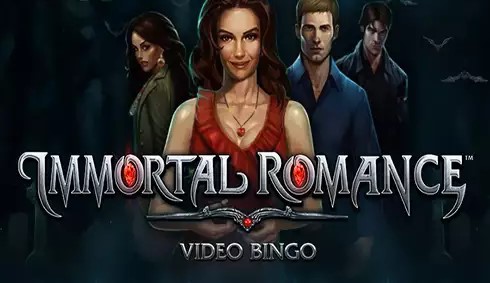 Immortal Romance Video Bingo