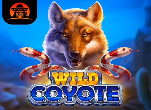 Wild Coyote