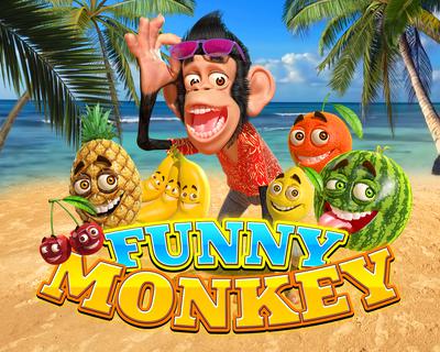 Funny Monkey