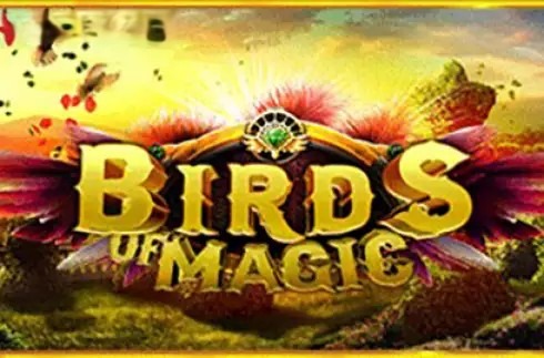 Birds of Magic