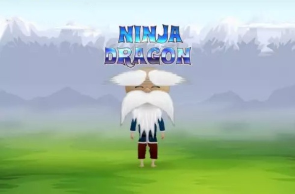 Ninja Dragon