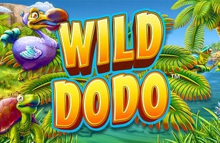 Wild Dodo