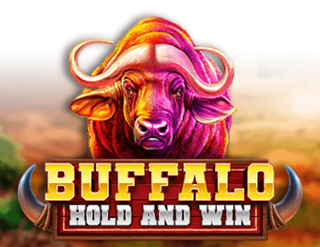 Buffalo: Hold The Spin