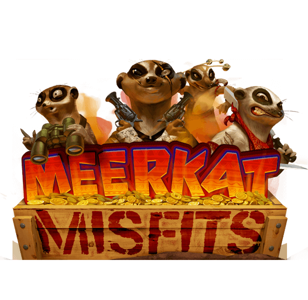 Meerkat Misfits