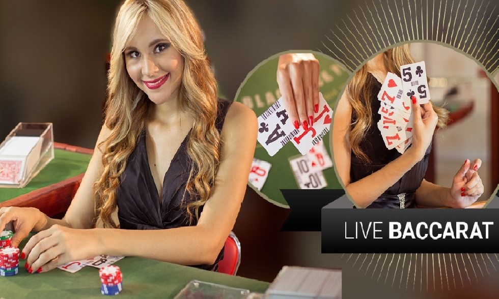 Baccarat Live Casino (Vivogaming)