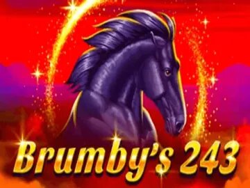 Brumby’s 243