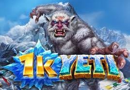 1k Yeti