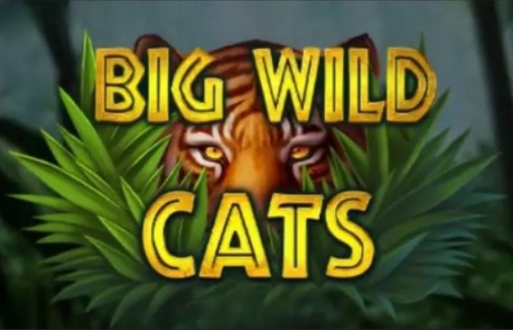 Big Wild Cats