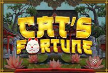 Cat’s Fortune