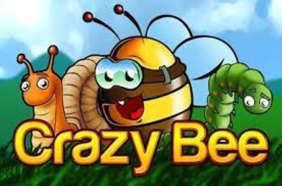 Crazy Bee