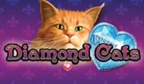 Diamond Cats