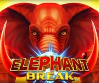 Elephant Break