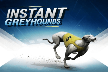 Instant Virtual Greyhounds