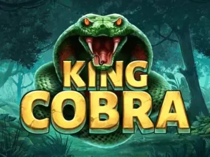 King Cobra