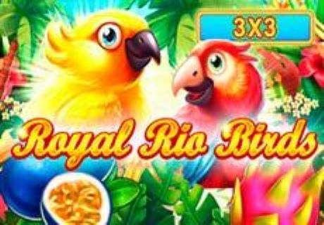 Royal Rio Birds (3×3)