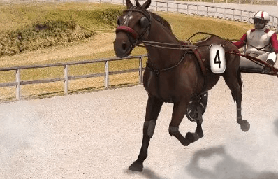 Virtual Trotting