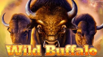 Wild Buffalo