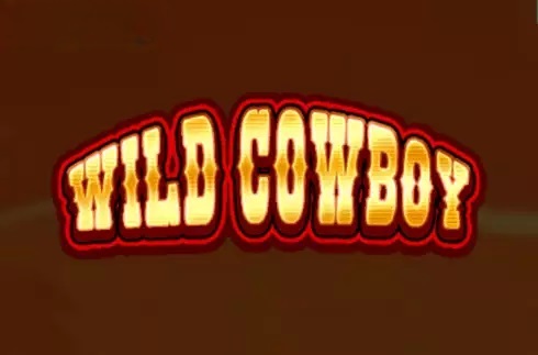 Wild Cowboy