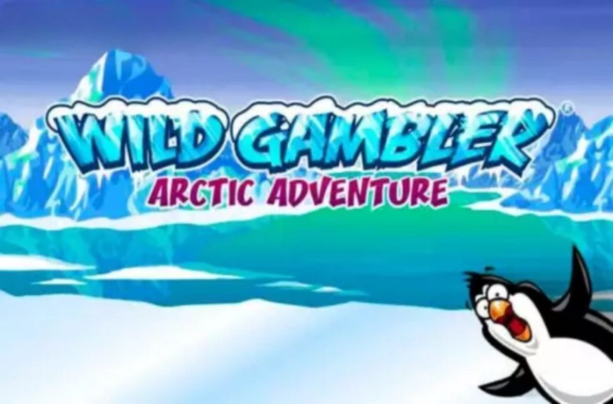 Wild Gambler - Arctic Adventures