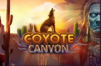 Coyote Canyon