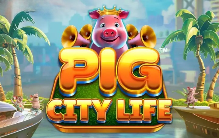 Pig City Life