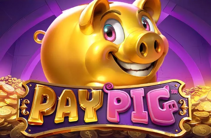 Pay Pig