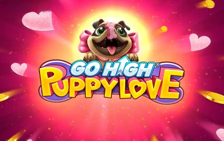 Go High Puppy Love